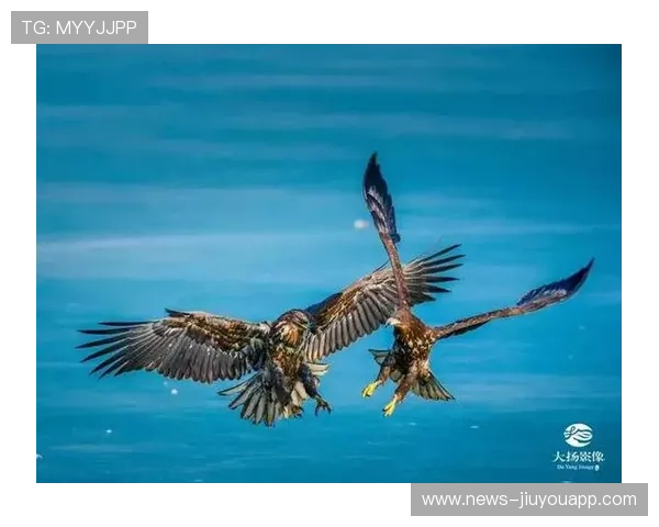 印度又破纪录，投球和击球双双在线，印度ball