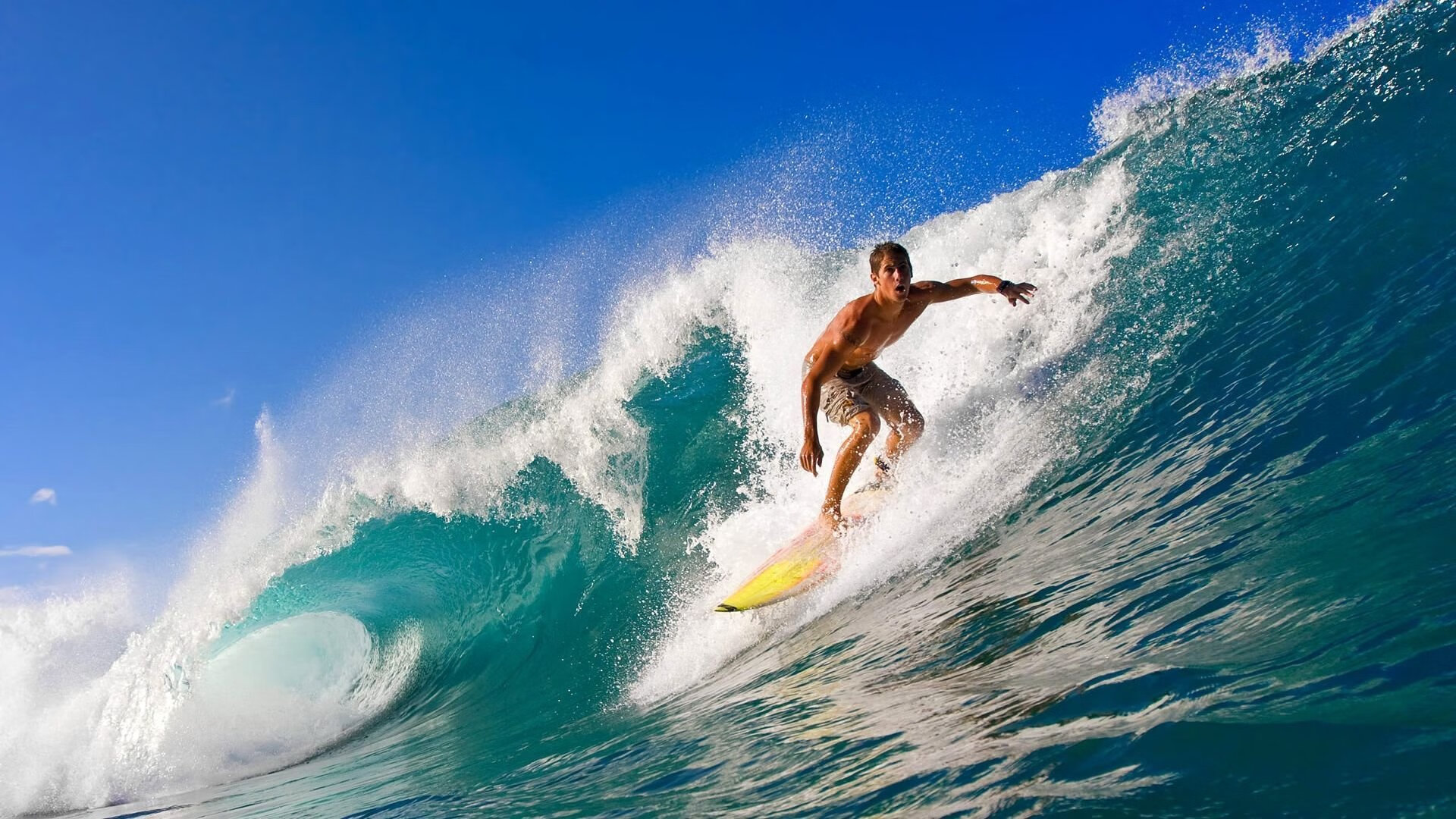 利物浦欧冠逐步上升,争夺冠军目标明确
