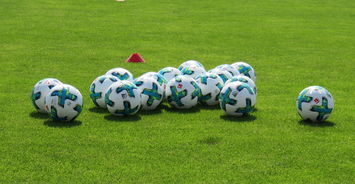 九游官网pc-中国足球运动员营养健康研究，作为国家足球队的营养师